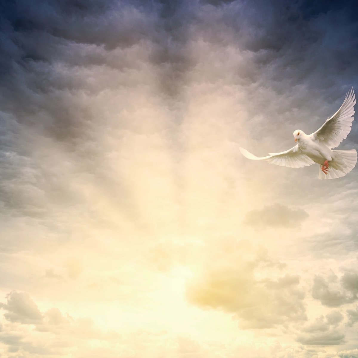 Alle aus Gottes Volk wurden durch den Heiligen Geist&nbsp;getauft