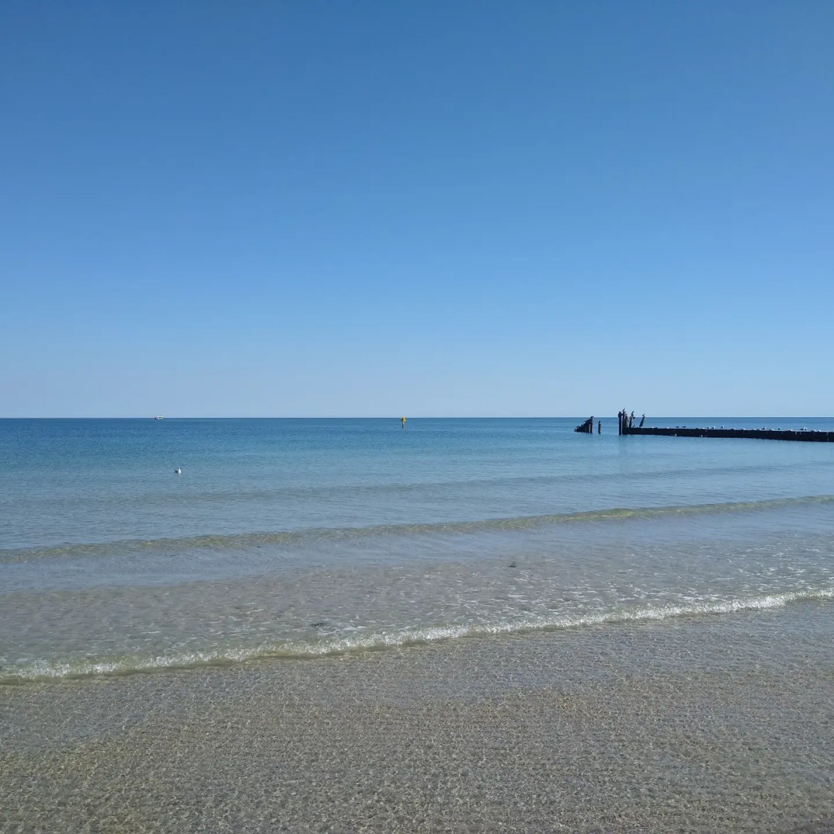 Thema Pastor Konrad, RCC&nbsp;Sommercamp